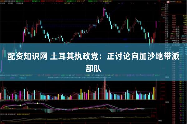 配资知识网 土耳其执政党：正讨论向加沙地带派部队