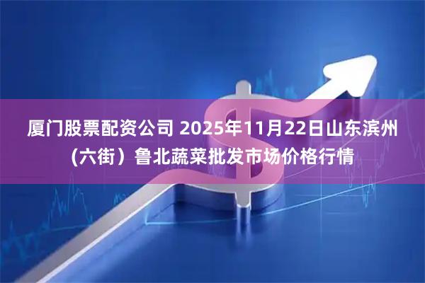 厦门股票配资公司 2025年11月22日山东滨州(六街）鲁北蔬菜批发市场价格行情