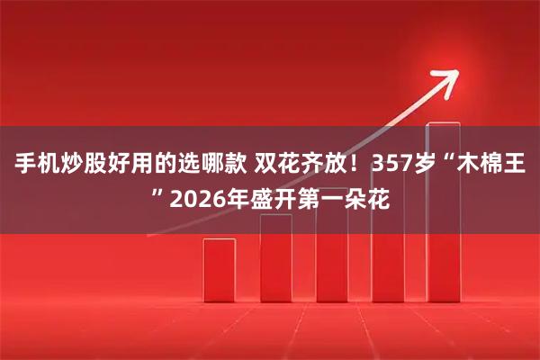 手机炒股好用的选哪款 双花齐放！357岁“木棉王”2026年盛开第一朵花
